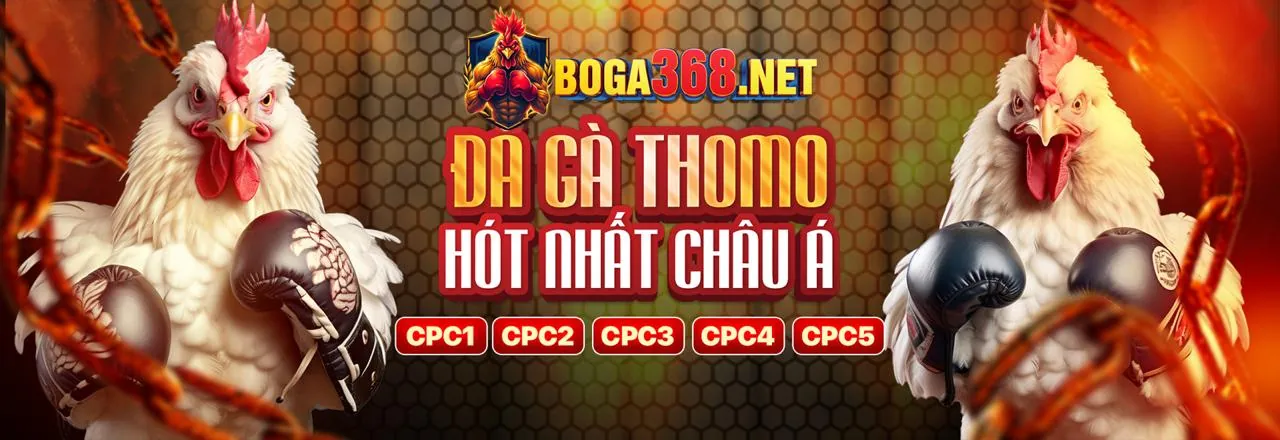 An toàn và hỗ trợ FB98